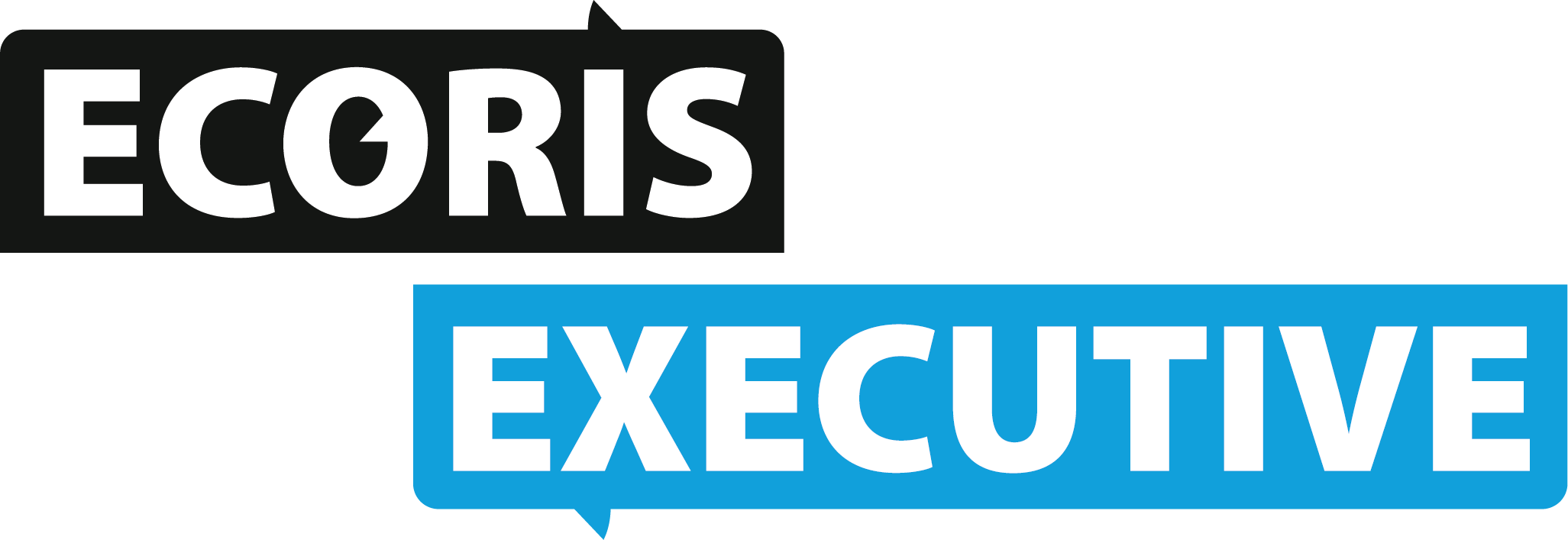 Logo ECORIS